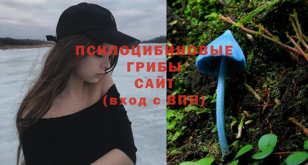 марки nbome Аркадак