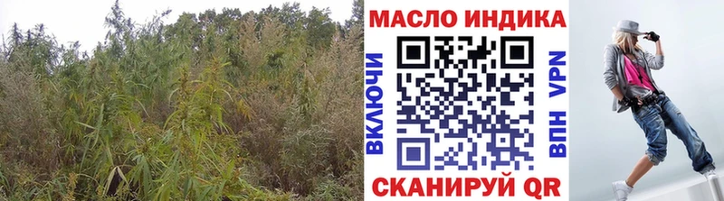 OMG   где найти наркотики  Полярный  Дистиллят ТГК гашишное масло 