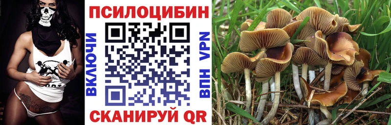 Галлюциногенные грибы MAGIC MUSHROOMS Полярный